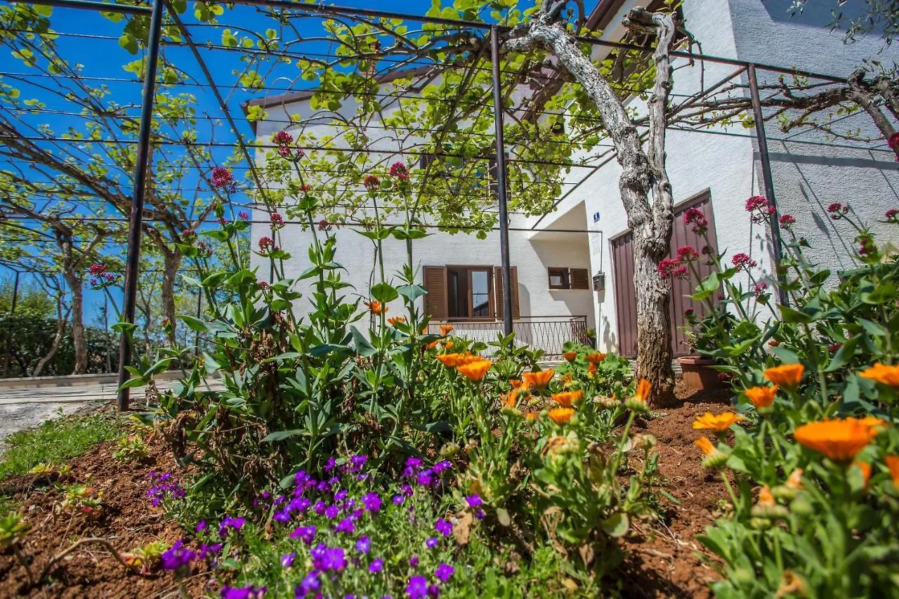 Porec Accommodation Apartment