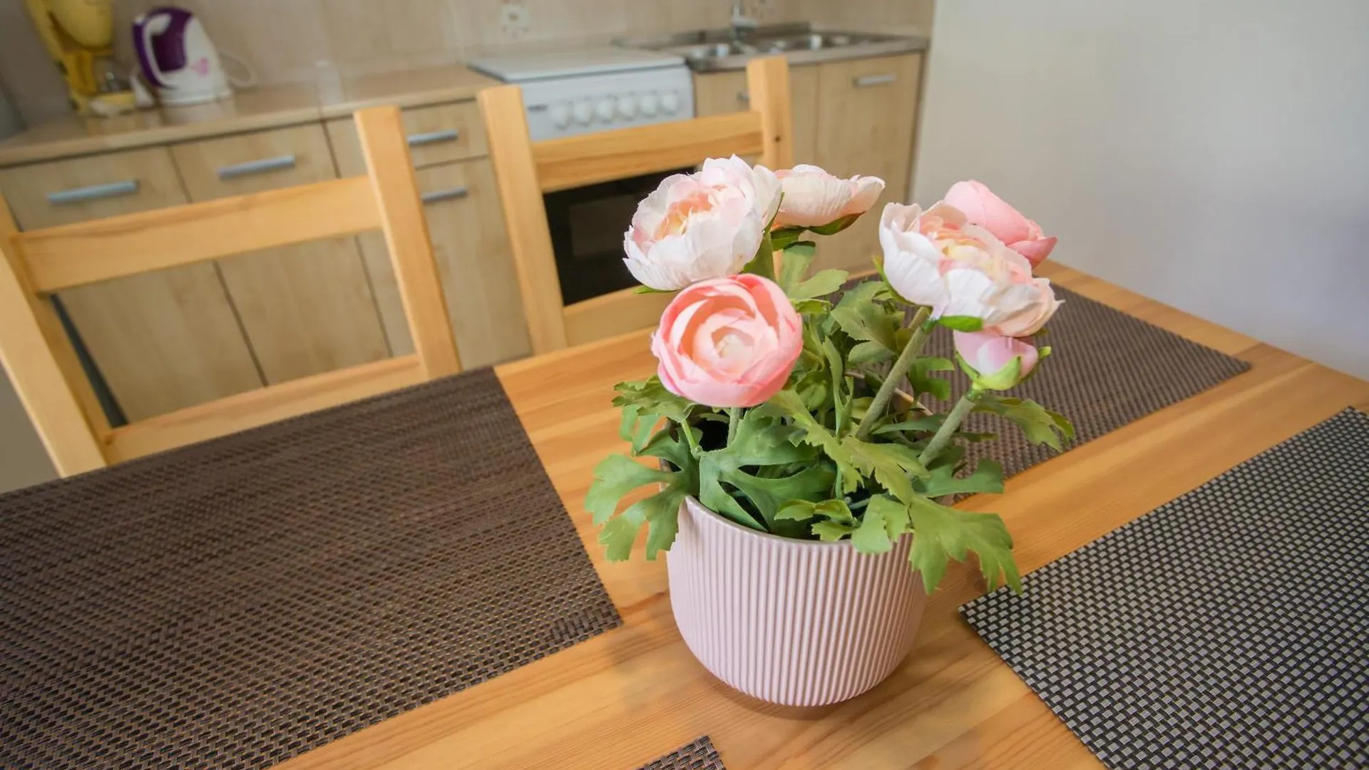 Porec Accommodation Apartment
