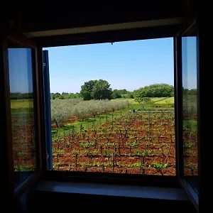  Appartamento Apartment&rooms Hacienda Stelio